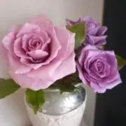 さくらの画像
