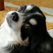 ペンツピース