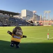 ぐりの画像