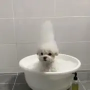 南の画像