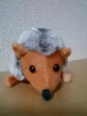 はりねずみの画像
