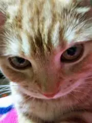 ヒロ722