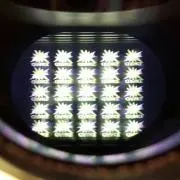 GoGo