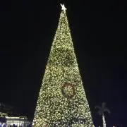 ダイの画像