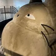 ほうじ茶の画像