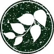GreenMoonの画像