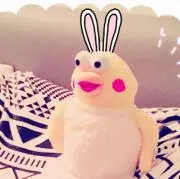 ひなまるの画像