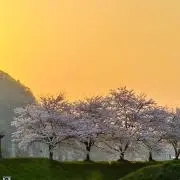 リアの画像