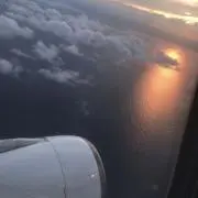 バボちゃん