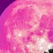 お月さま　引越しの為、暫く休止しますの画像