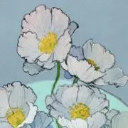 mimosaの画像