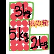 さいとう農園　２箱−５００円　３箱−千円の画像