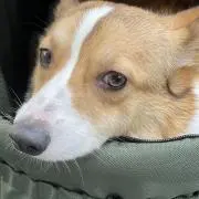 akat111