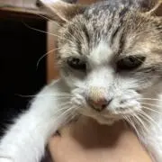 ちーかの画像