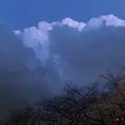 rの画像
