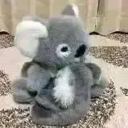 やんまあ ＊の画像