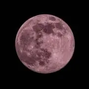 19.97.01の画像