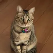 むっちゃん