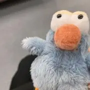 まむの画像
