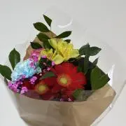 ここあ