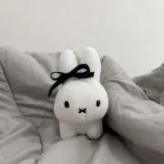 potetoの画像