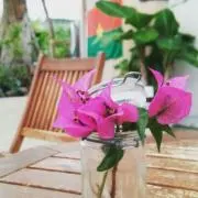 kumikoの画像