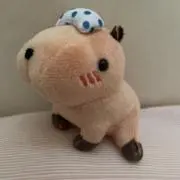 rabbit 2の画像
