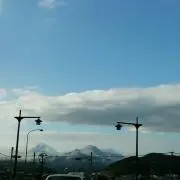 おはぎの画像