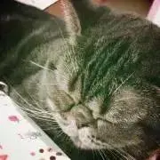 ひいろの画像