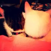 kaiママ
