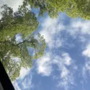 sakusakuの画像