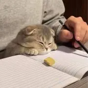 。の画像