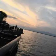 Dream