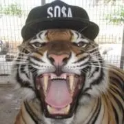 にゃん