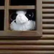 yasukoの画像