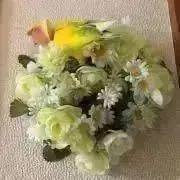 ぴーこりんの画像