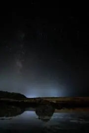 Meltの画像