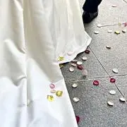チャチャの画像