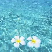 けいの画像