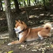 こうちゃん