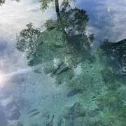 めるの画像