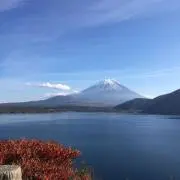 かにかまの画像