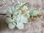 けむ　【即時発送】の画像
