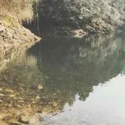 財宝
