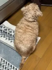 nkcoの画像