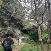 アメの画像