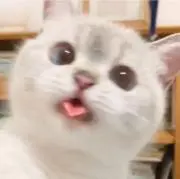 プロフ必読⚠️の画像