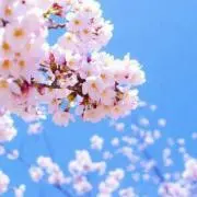 ♡ゆらmama♡プロフ読んでね♡