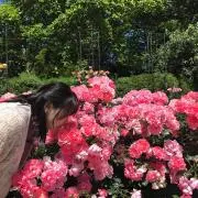 パンダパンダの画像