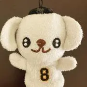 マルチーズの画像